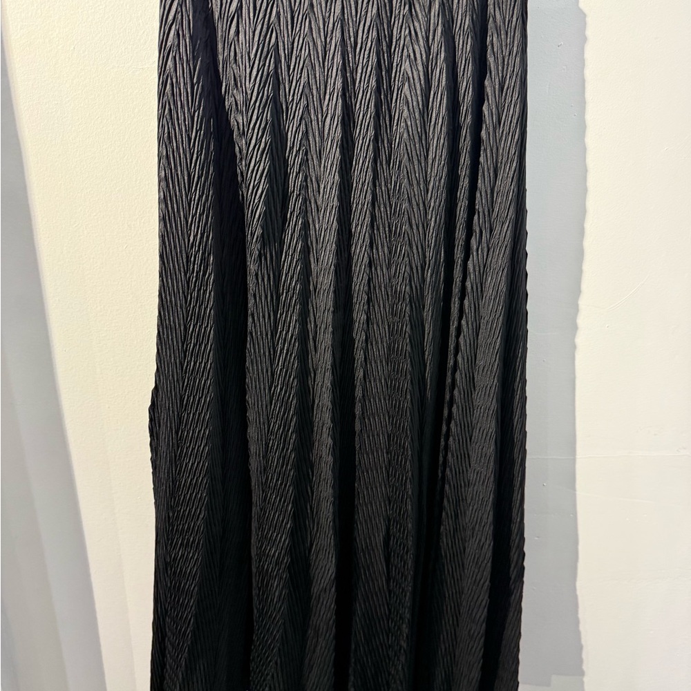 Zero degree Celsius  Black Pleated Skirt